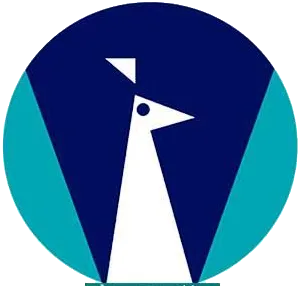National Insurance Co. Ltd